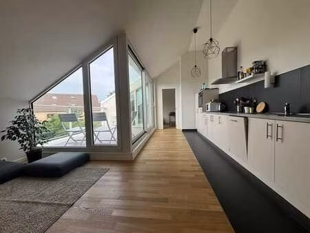 magnifique appartement 1ch  terrasse  cae et parking