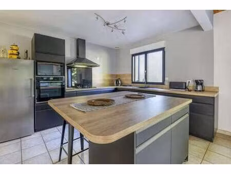vente maison à vieillevigne (44116) : à vendre / 197m² vieillevigne