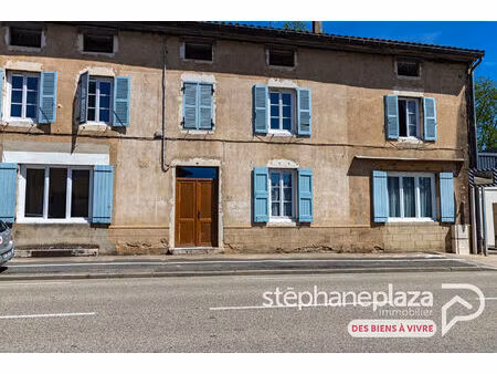 immeuble coligny 350 m2 avec jardin  cave  combles aménageables