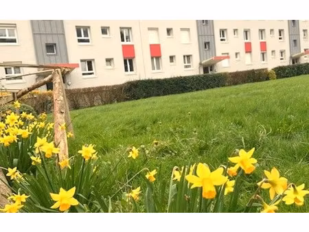 location appartement  63.78 m² t-4 à bois-guillaume  730 €