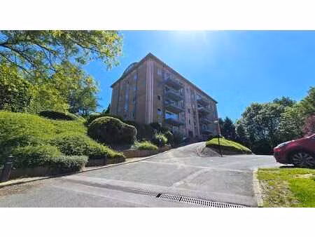 magnifique appartement avec terrasse et cave !