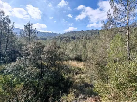 vente terrain 8475 m² à solliès-toucas (83210)  45 000 €
