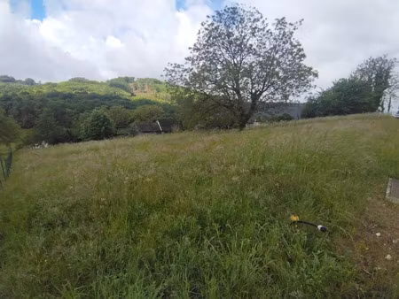 vente terrain 2275 m² à sainte-fortunade (19490)  20 000 €