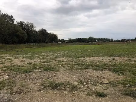 vente terrain 587 m² à mer (41500)  40 000 €