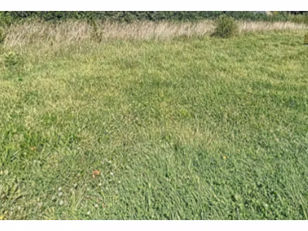 vente terrain à tréboul (29100) : à vendre / tréboul