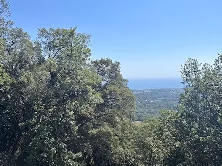 vente terrain 2700 m² à cervione (20221)  57 000 €