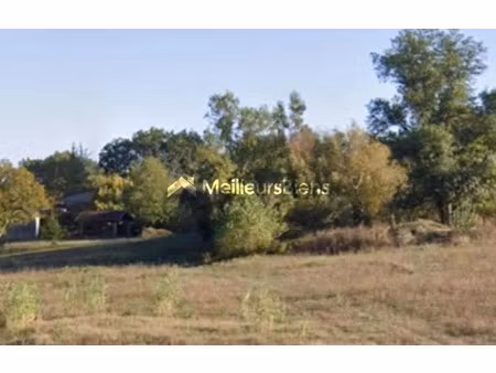 vente terrain 1057 m² à albi (81000)  53 000 €