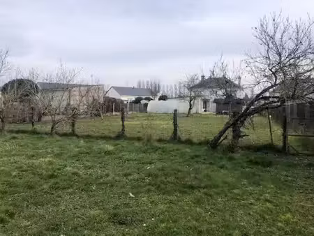 vente terrain 1205 m² à saint-denis-sur-loire (41000)  50 000 €