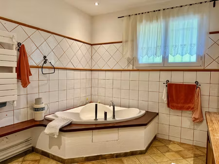 vente maison 6 pièces 178 m² alleins (13980)