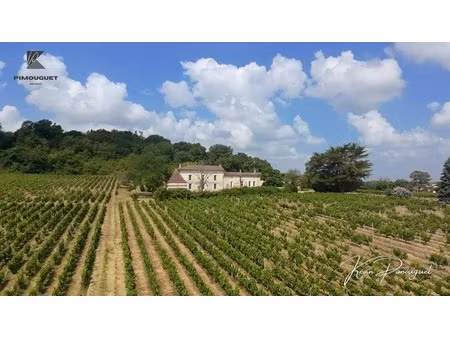 chartreuse du xviiie avec vignoble – entre-deux-mers