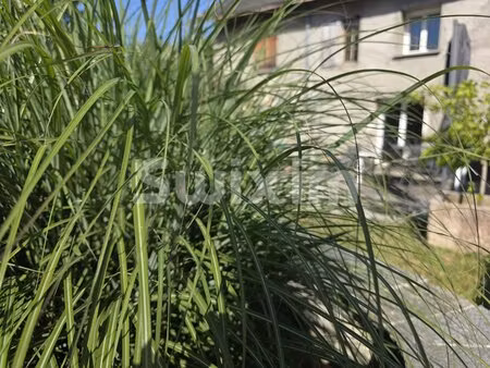 charmante maison familiale à la biolle  141 m²