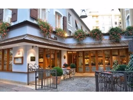 vente commerce annecy 74000 300m²