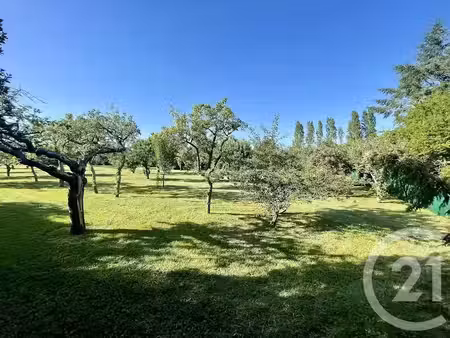 vente terrain à batir 1530 m² à beaugency (45190)  99 000 €