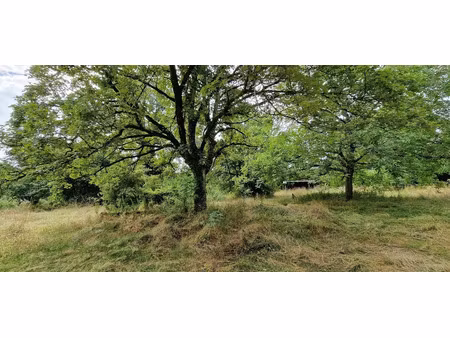 vente terrain 9040 m² à trept (38460)  158 000 €