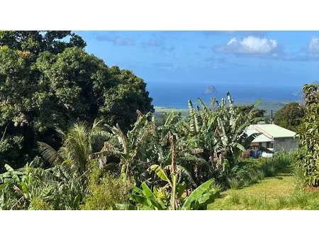 vente terrain 942 m² à sainte luce (97228)  150 000 €