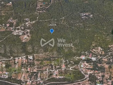vente terrain 30515 m² à sotta (20146)  224 285 €