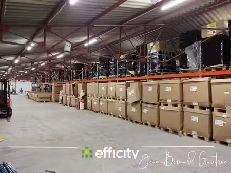 vente locaux professionnels 9 pièces 1366 m² à ploumagoar (22970)  440 750 €