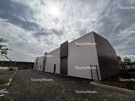 location local d’activités saint jory 31790 159m²