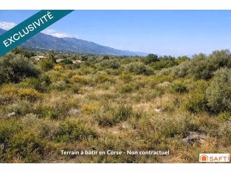 terrain constructible