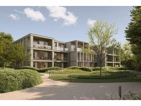 nieuw project te waregem!