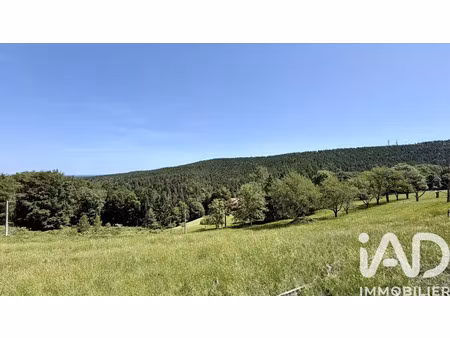 terrain à dabo (57850)