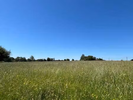 trois beaux terrains à vendre !
