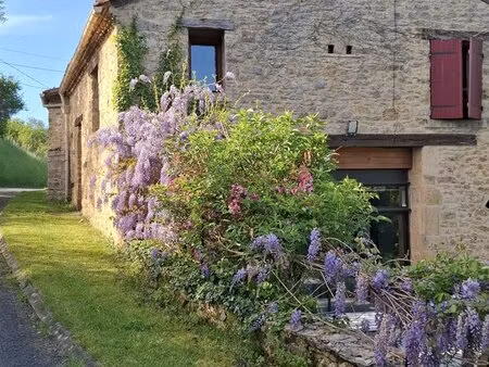 belle maison de village avec gîte et piscine.