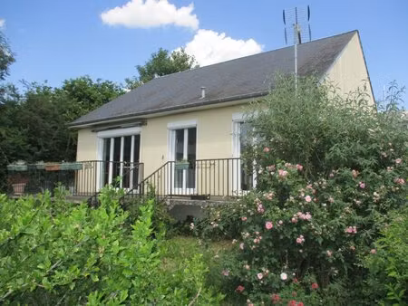 achat : maison (58120)