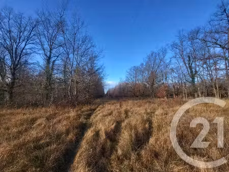 terrain à vendre - 325020 m2 - vaux - 03 - auvergne
