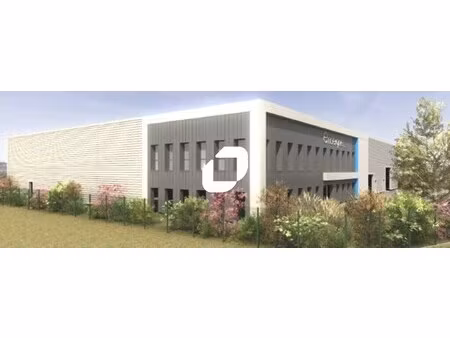vente local d’activités fareins 01480 2200m²