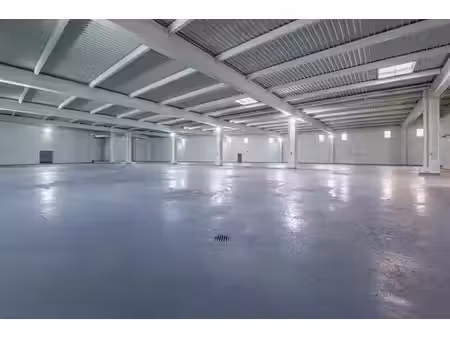 vente entrepôt louvres 95380 1950m²