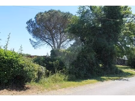 terrain à vendre