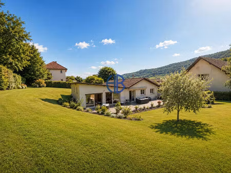 maison saint geoire en valdaine 7 pièce(s) 210 m2