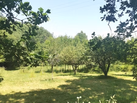 vente terrain 11 271 m²