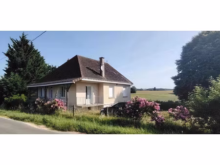 114 m2 habitables sur sous-sol complet  4 à 5 chambres  terr