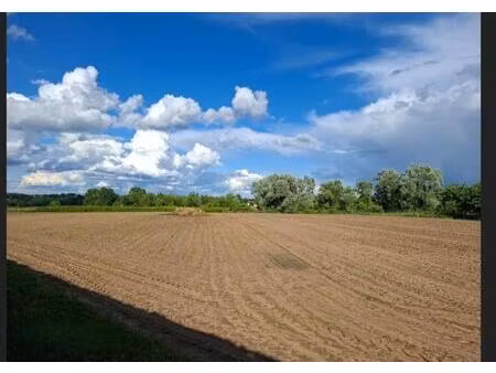 terrain a batir de 6478 m2