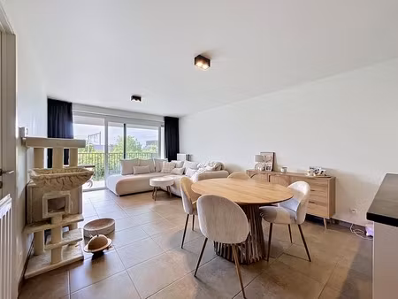 appartement te huur in harelbeke met 1 slaapkamer