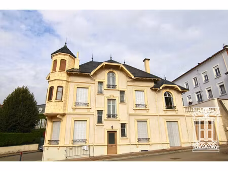 achat maison 15 pièces 300m² cours 69470