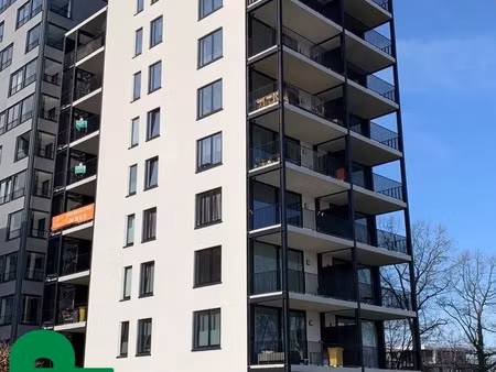 appartement te huur in turnhout met 1 slaapkamer