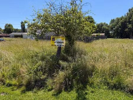 achat terrain 1 058m² salaunes 33160