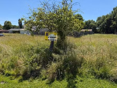 achat terrain 1 250m² salaunes 33160