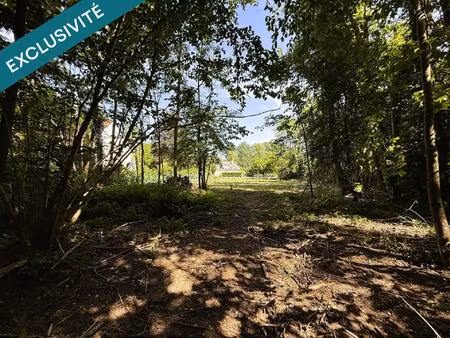 vente terrain 5353 m² montbazon (37250)
