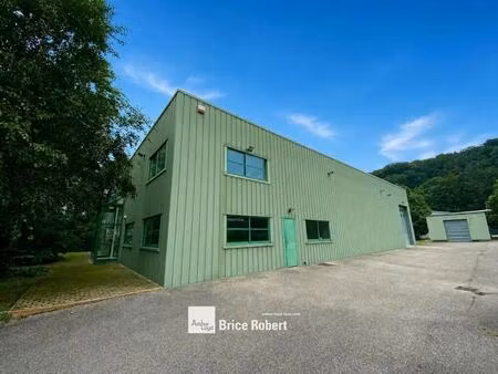 vente local d’activités fleurieu sur saone 69250 730m²