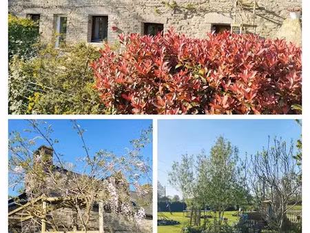 vente maison 6 pièces 123 m² à allaire (56350)  220 500 €