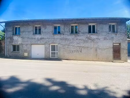 achat immeuble 200m² st amour 39160