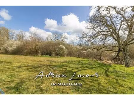 terrain pruniers en sologne 11202 m2