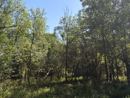 challans - terrain constructible de plus de 2 600 m2