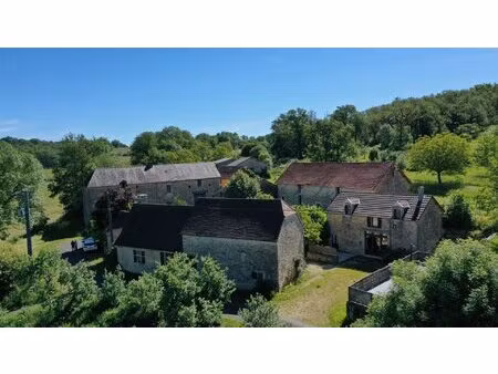 domaine agricole avec gites  piscine et 21ha