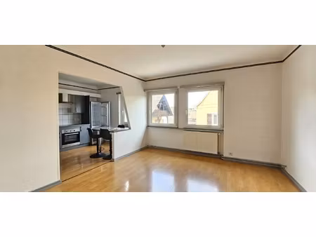 location appartement 2 pièces 52m² brunstatt didenheim 68350