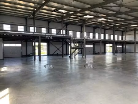 vente local d'activités 313 m² à 1 181 m²
